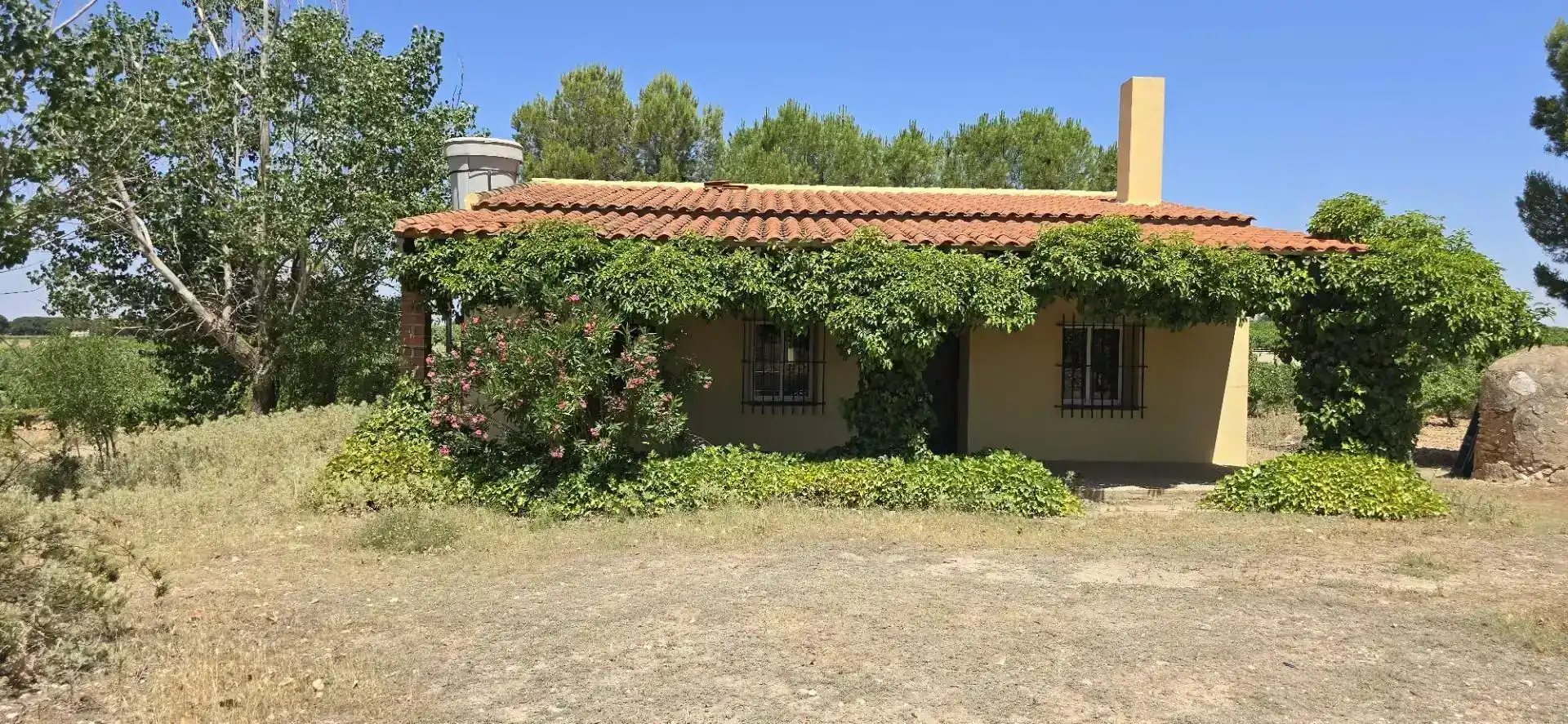 Vista exterior de Finca rústica en venda en Villarrobledo amb Piscina
