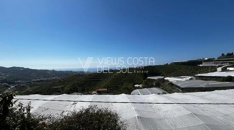 Photo 5 of Houses for rent in Algarrobo pueblo, Algarrobo