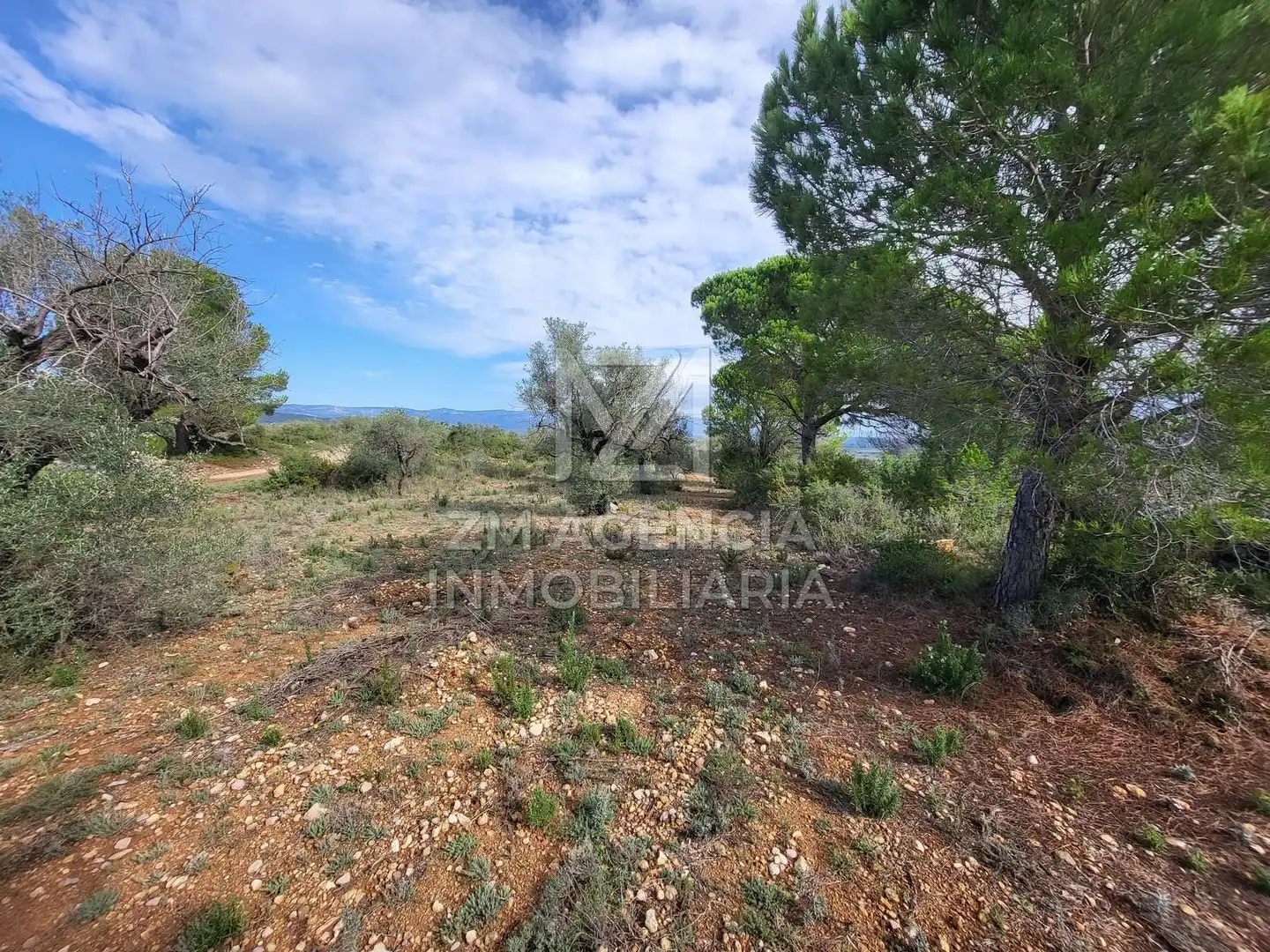 Casa rústica en venta en Traiguera, imagen 3