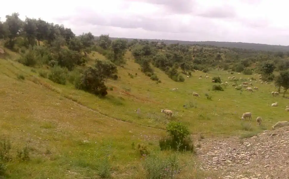Casa rústica en venda a Valverde del Camino, imagen 18