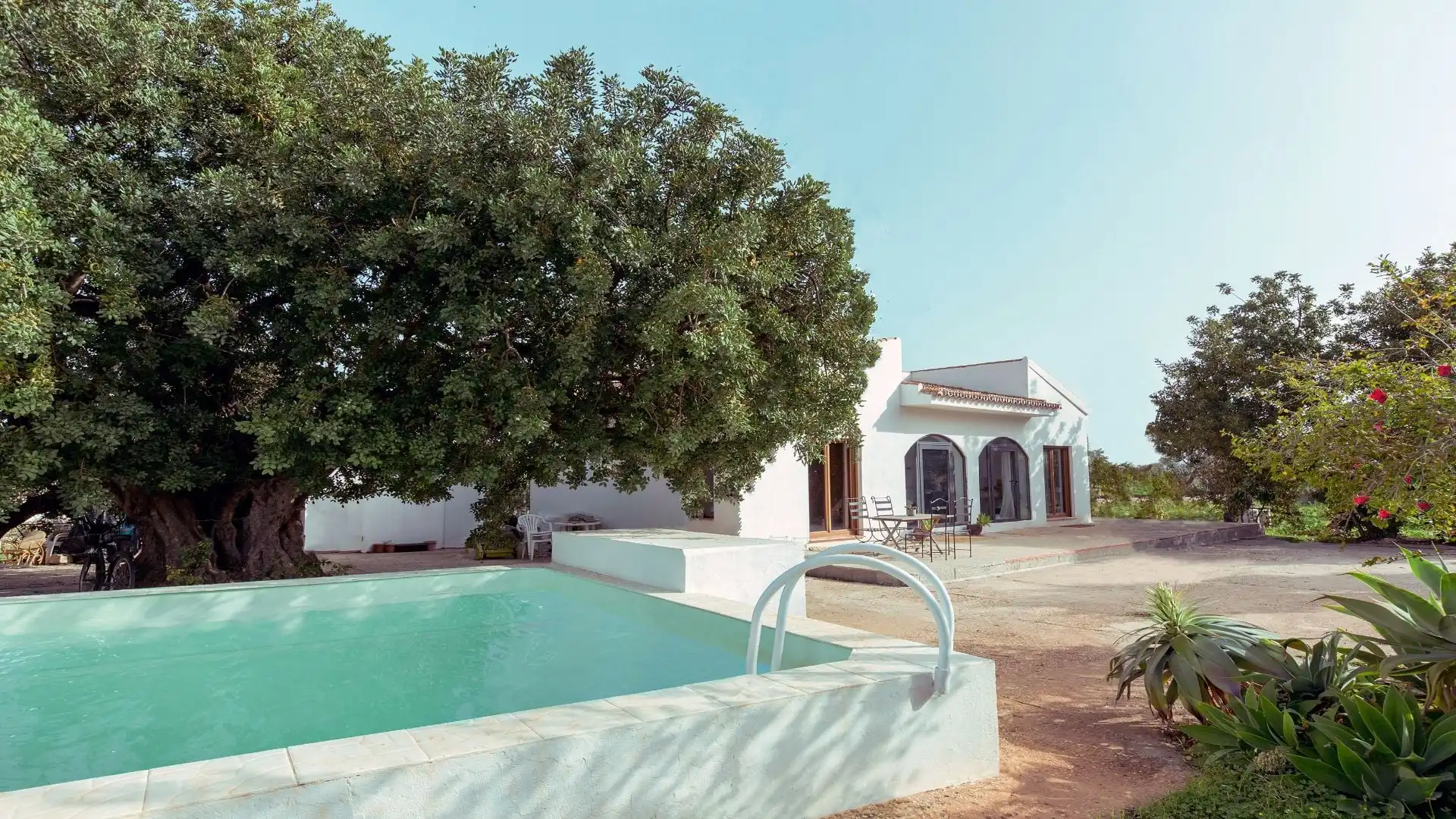 Piscina de Finca rústica en venta en Alhaurín El Grande con Piscina
