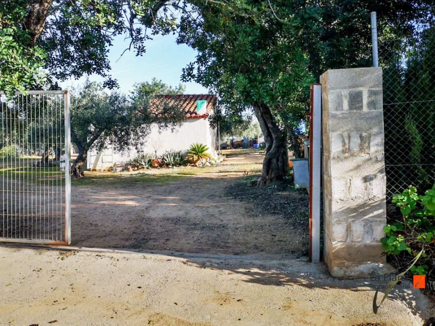 Exterior view of Country house for sale in Amposta