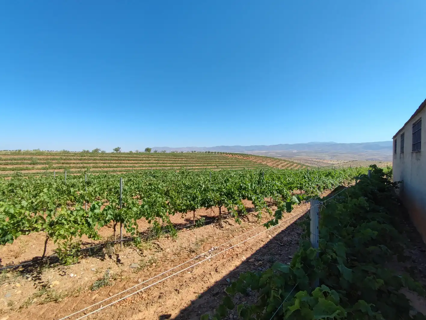 Land for sale in Huéneja