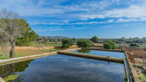 Foto 4 de Finca rústica en venda a Sa Casa Blanca,  Palma de Mallorca
