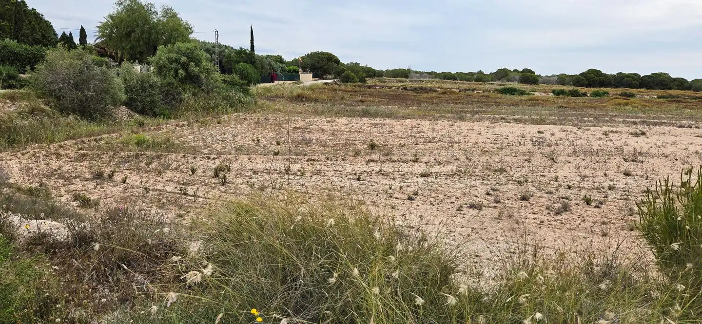 Residential zum Verkauf in Elche / Elx