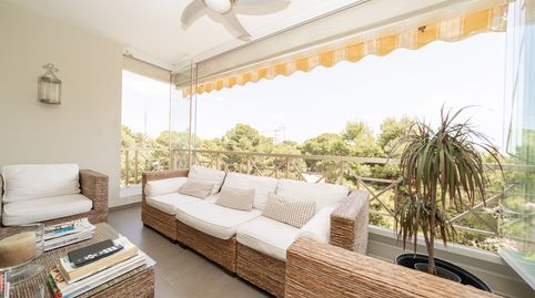 Foto 5 de Apartamento en venta en Punta Prima, Orihuela