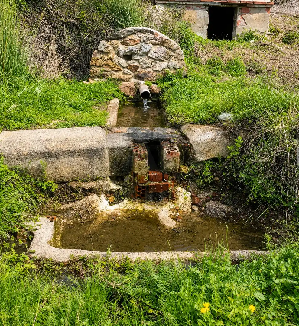 Rural land for sale in Navahermosa, imagen 13
