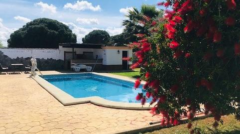 Foto 2 de Casa o xalet de lloguer a Las Lagunas - Campano, Cádiz