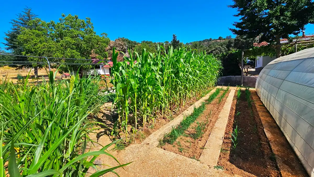 Jardín de Casa o chalet en venta en Cortelazor con Jardín privado, Terraza y Trastero