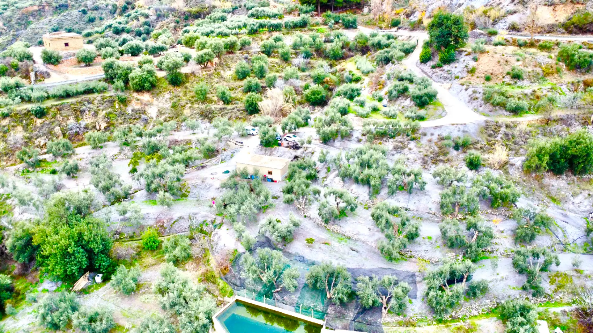 Terreni e lotti in vendita a Lugar Cortijo El Peñon, imagen 38