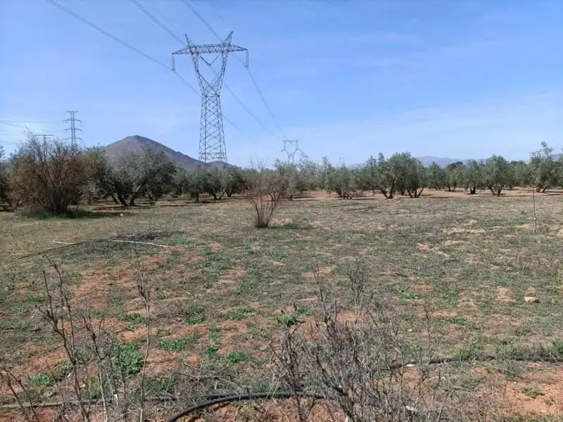 Terrenys i solars en venda a Polígono LA ZANJA, imagen 4