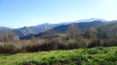 PARCELAS A 10 MIN. DE CANGAS DE ONÍS, immagine 2