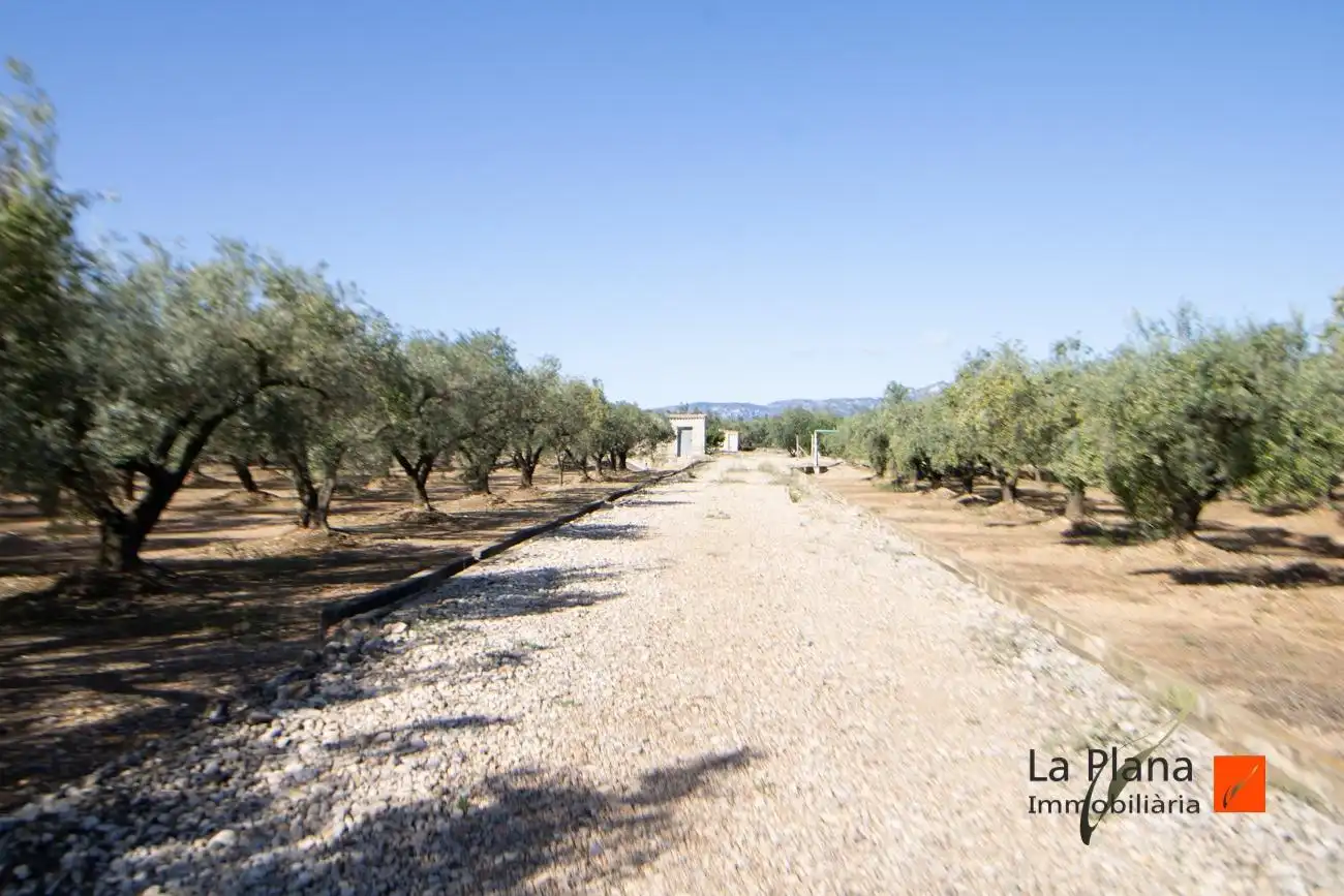 Terreno rustico in vendita a Santa Bàrbara, imagen 2