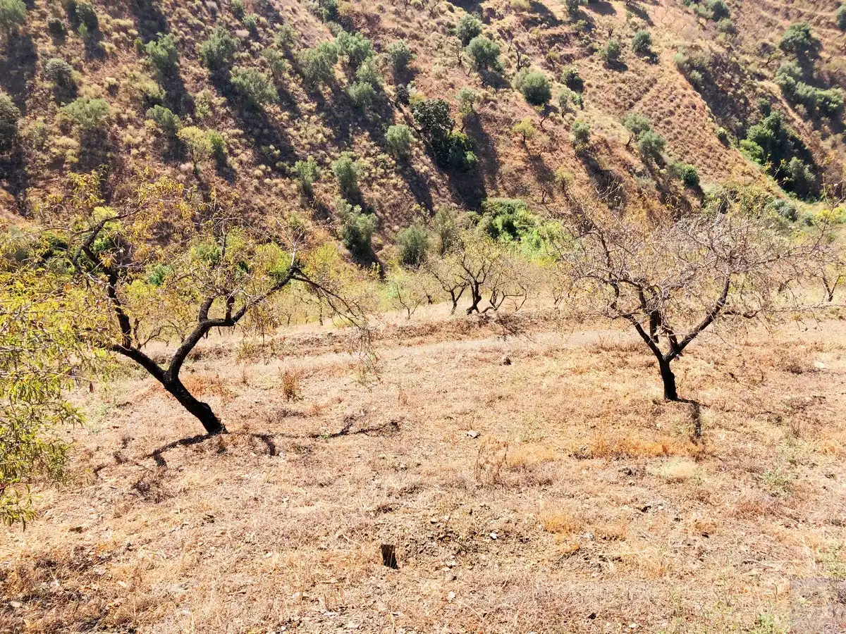 Terrenos y solares en venta en Sedella, imagen 3