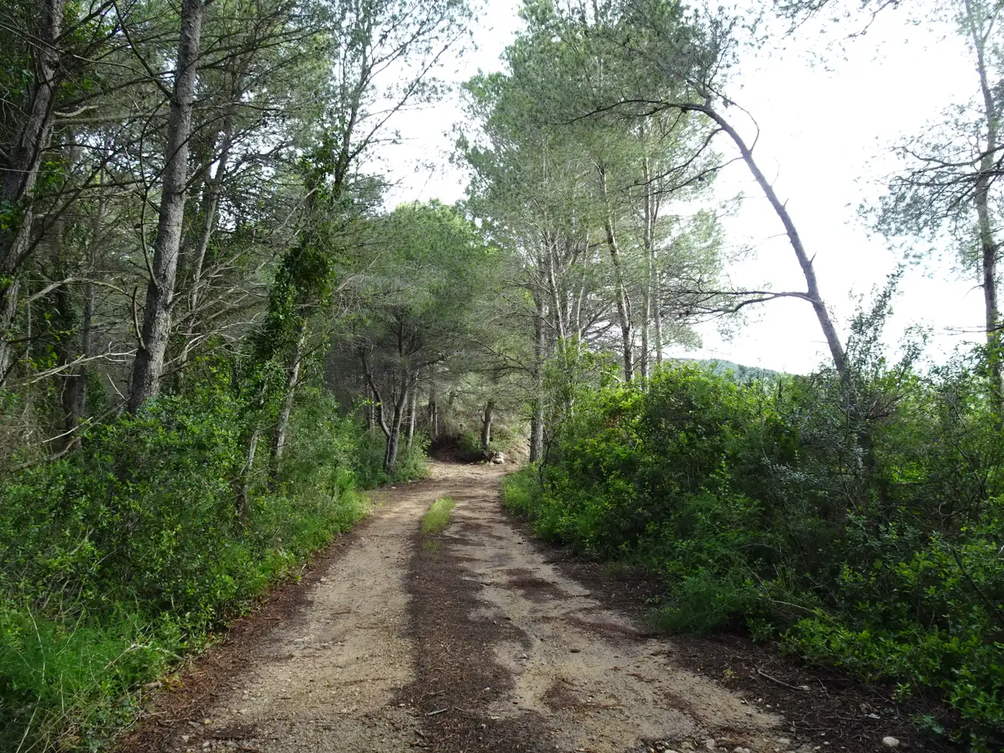 Vista exterior de Finca rústica en venta en El Perelló