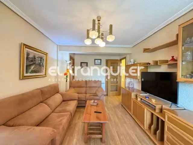Sala d'estar de Pis de lloguer en Madrid amb Aire condicionat, Parquet i Terrassa