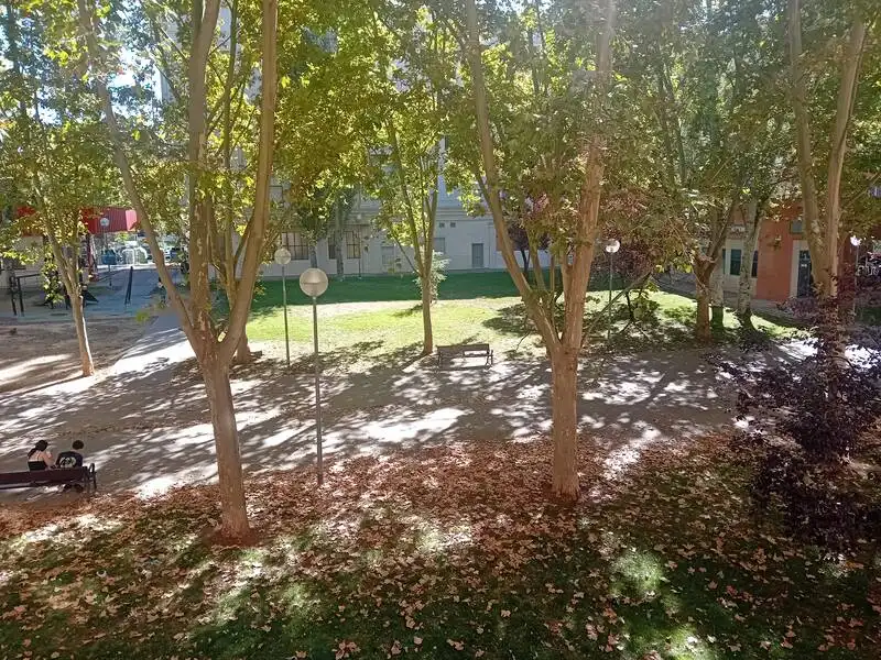 Office space with lift to rent in Calle Duques de Nájera, imagen 6