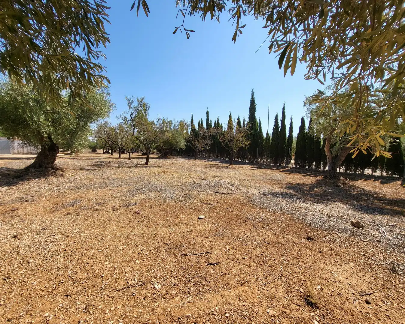 Landhaus mit Garten zum Verkauf in L'Ametlla de Mar pueblo, imagen 55