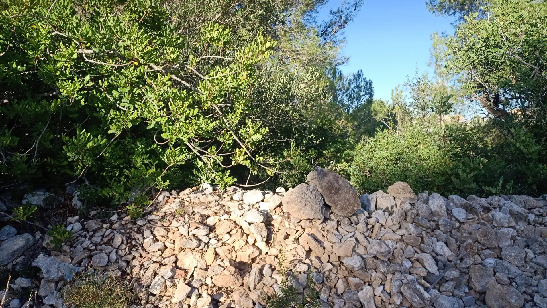 Terreno en venta en El Vendrell