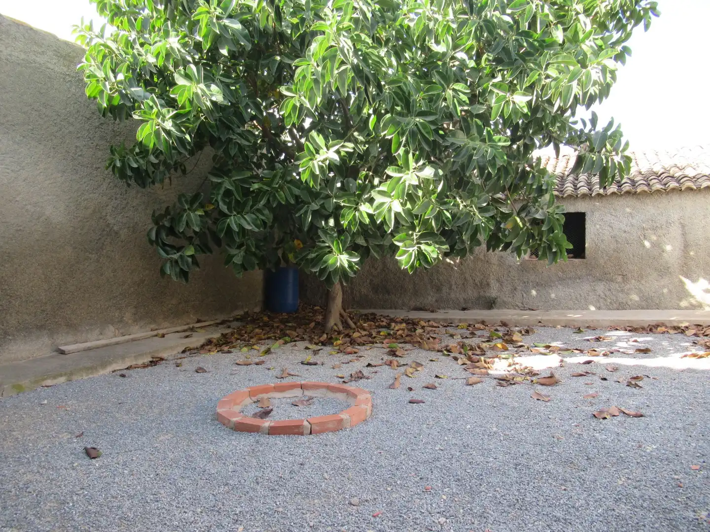 Casa rústica en venda a Partidas de Alicante, imagen 15