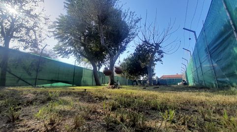 Foto 5 de Residencial en venta en C/ Mar del Caribe, Puerto Deportivo, Chipiona
