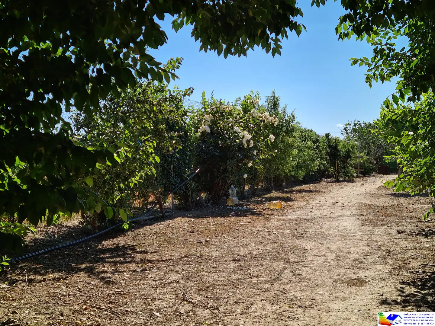 Casa o chalet en venta en Fuente El Saz de Jarama con Aire acondicionado, Calefacción y Jardín privado