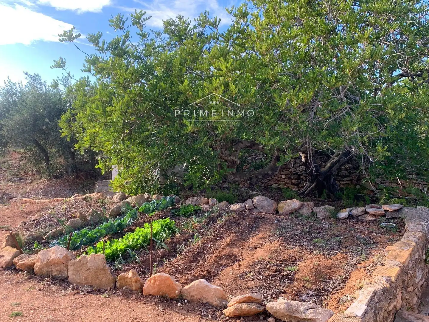 Country house for sale in L'Ametlla de Mar pueblo, imagen 10