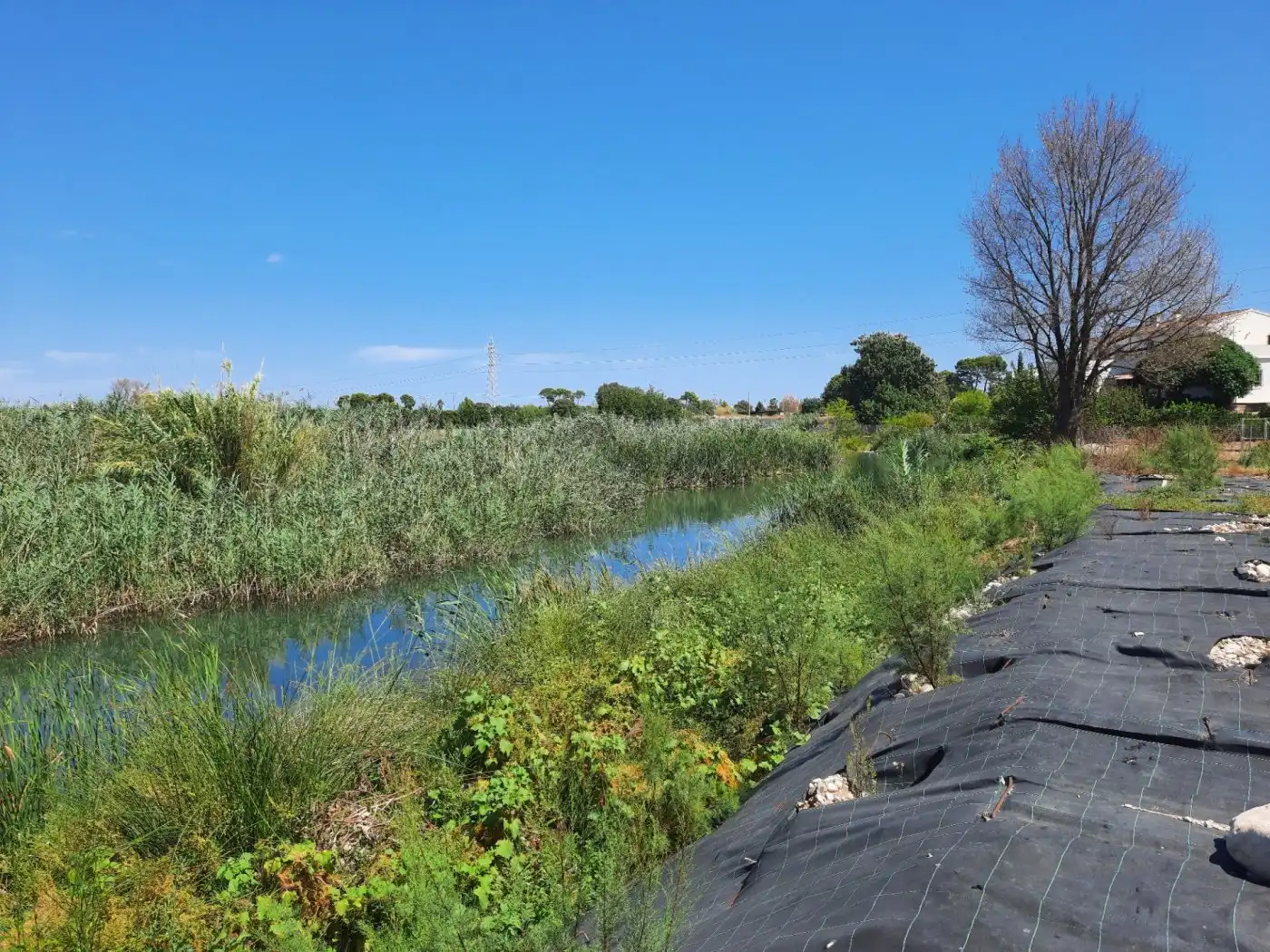 Vista exterior de Finca rústica en venta en Ondara con Aire acondicionado, Calefacción y Jardín privado