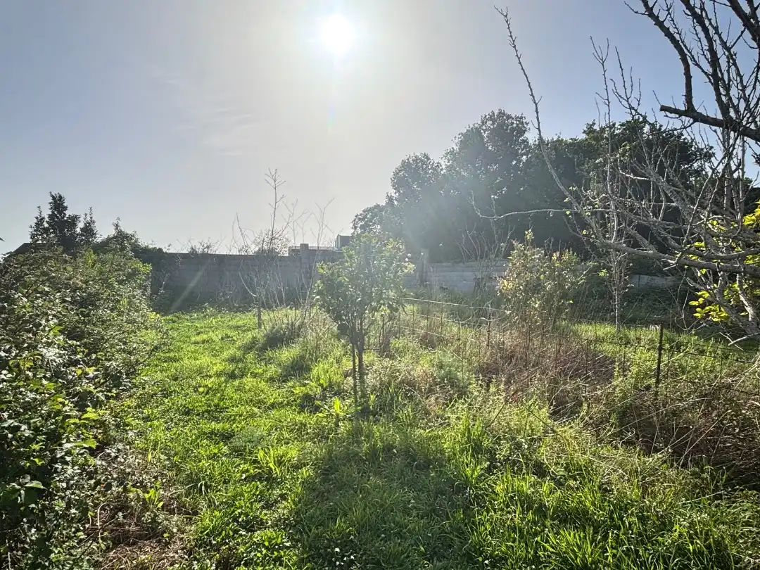 Residential for sale in Ribeira