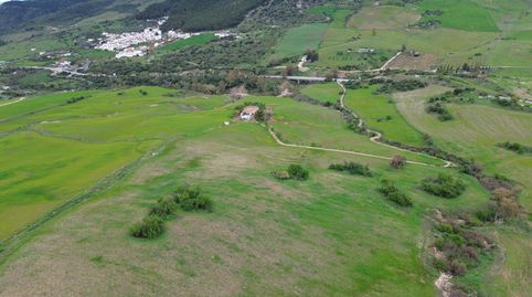 Foto 4 de Terreno en venta en Pd Montecorto 1468 , Partidas Norte, Ronda