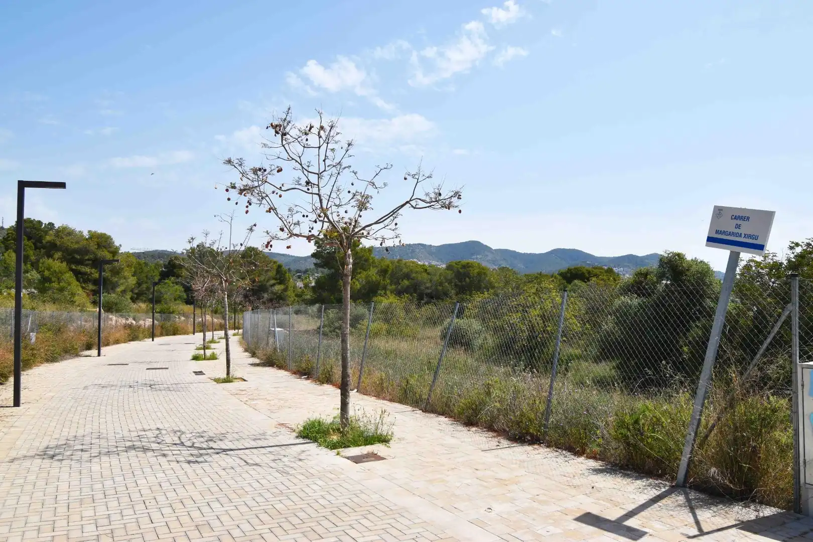 Terreny residencial en venda a La Plana, imagen 15