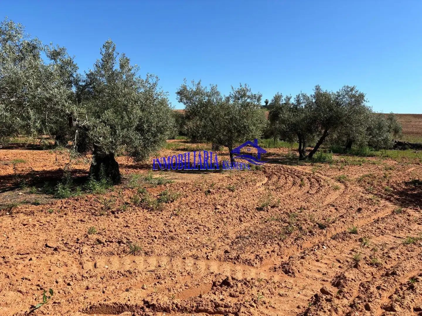 Casa rústica en venta en Montoro, imagen 24