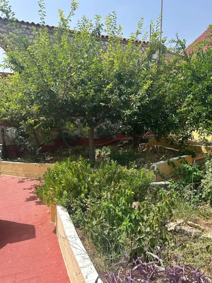 Casa o xalet de lloguer en Alborache amb Aire condicionat, Jardí privat i Terrassa