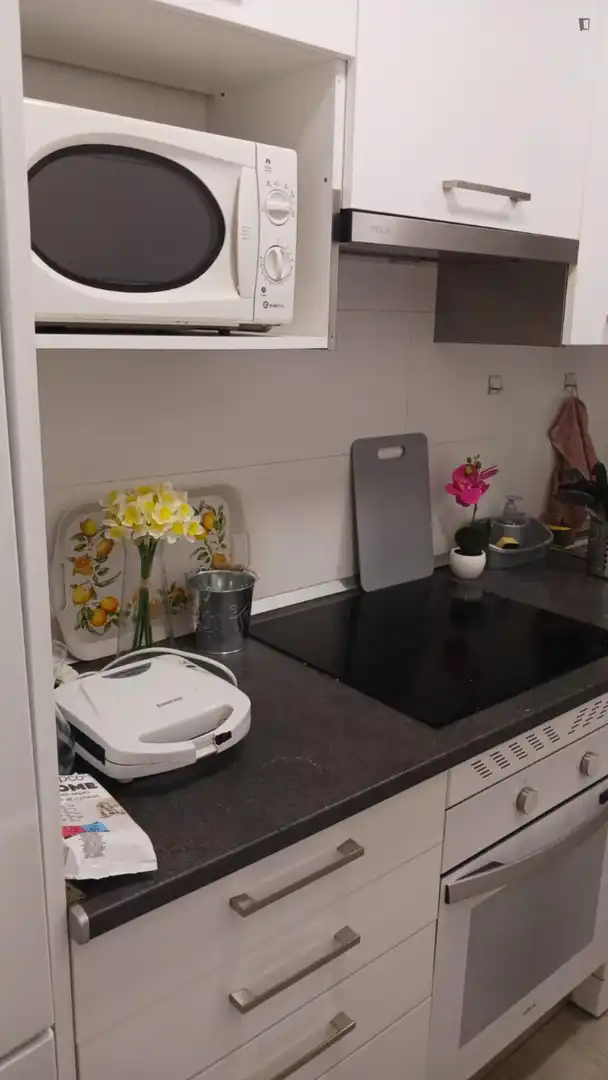 Cuina de Apartament de lloguer en Madrid amb Moblat, Forn i Rentadora