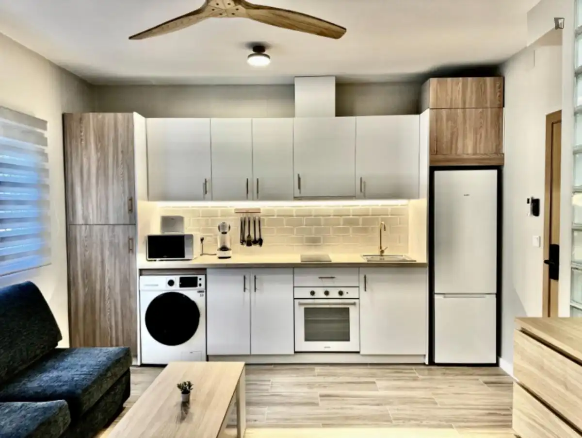 Estudio de alquiler en Campoamor