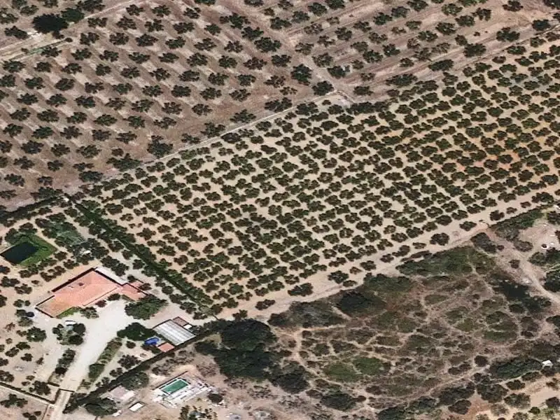 Pis en venda en La Selva del Camp