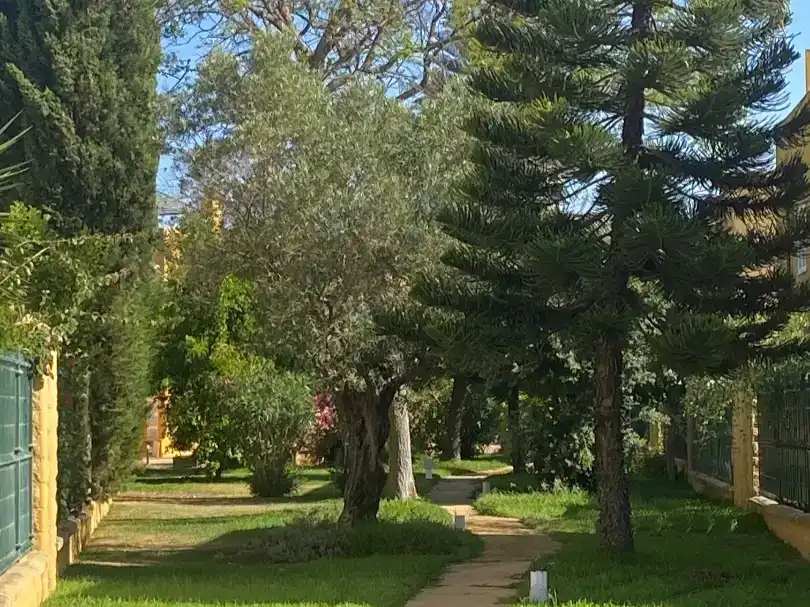 Jardí de Pis en venda en Rota amb Aire condicionat, Jardí privat i Piscina
