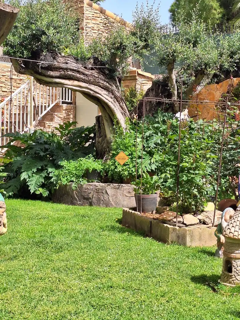 Jardí de Casa o xalet en venda en Paterna amb Aire condicionat, Calefacció i Jardí privat