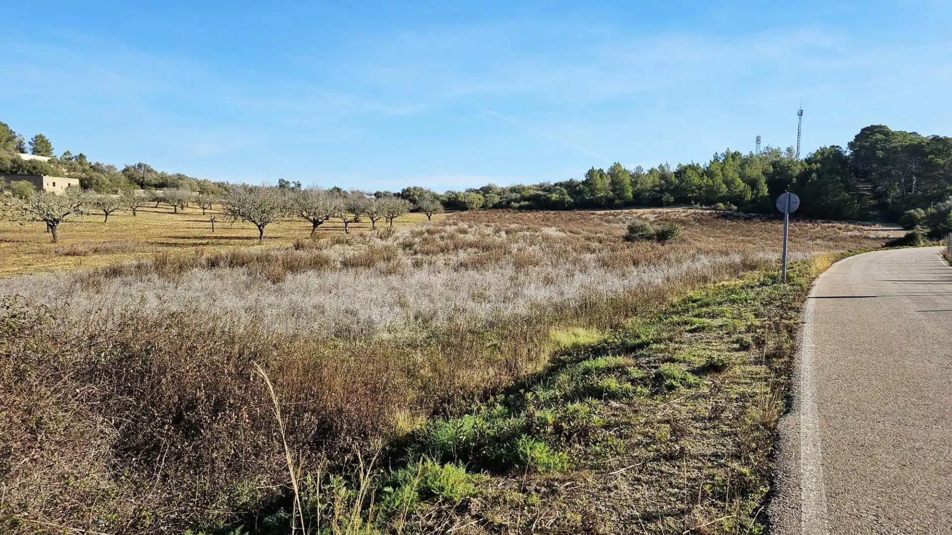 Rural land for sale in Sant Joan, imagen 8