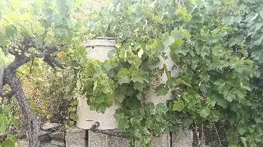 Rural land for sale in Alpujarra de la Sierra, imagen 22