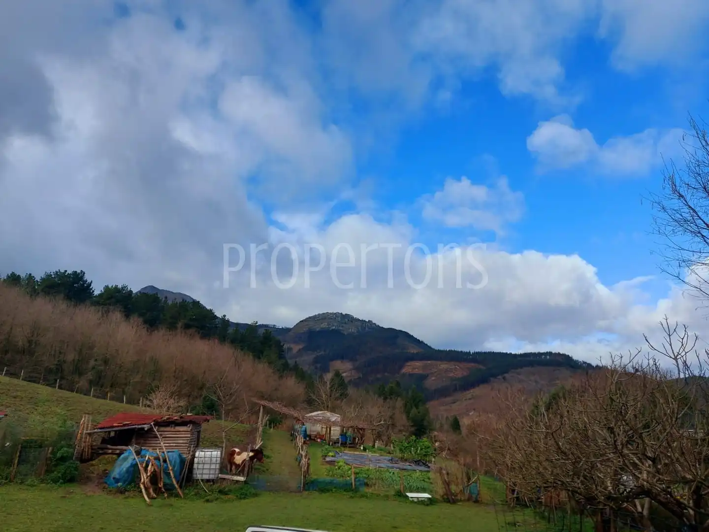 Casa o chalet en venta en Zeanuri