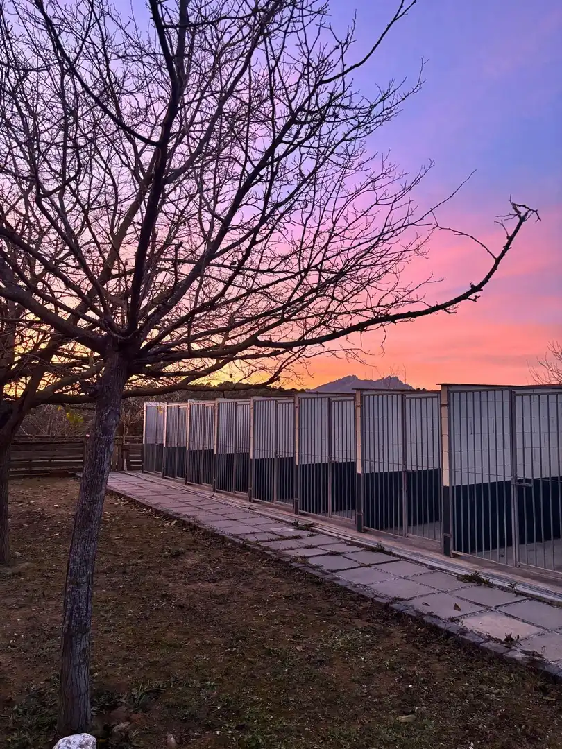 Vista exterior de Terreno en venta en Abrera