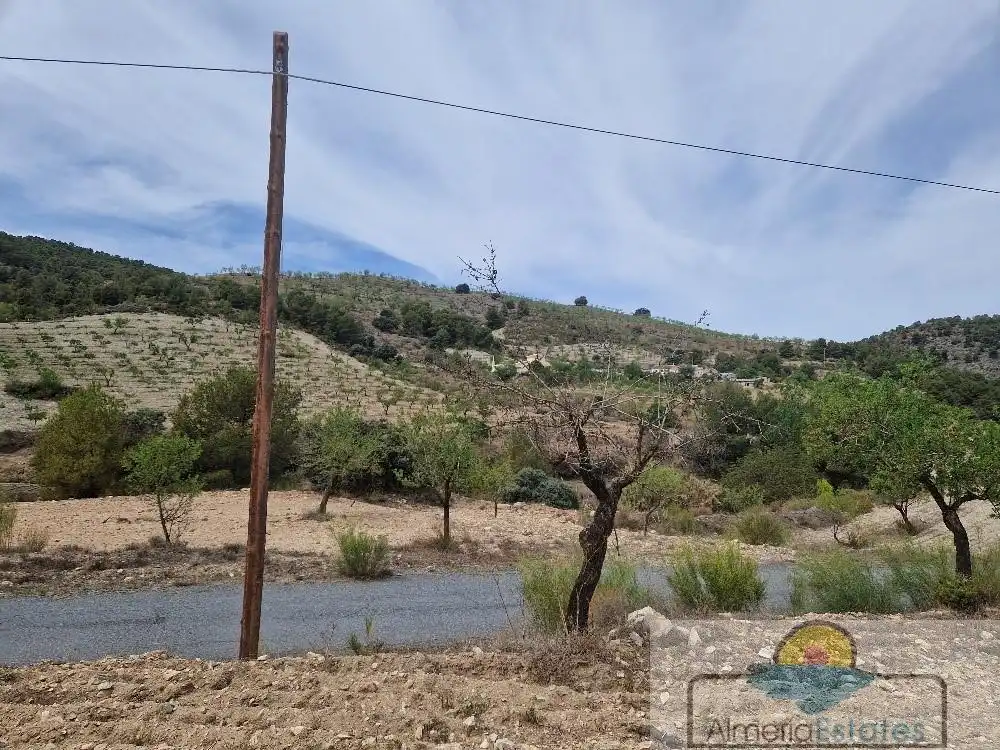 Country house for sale in Albox, imagen 5