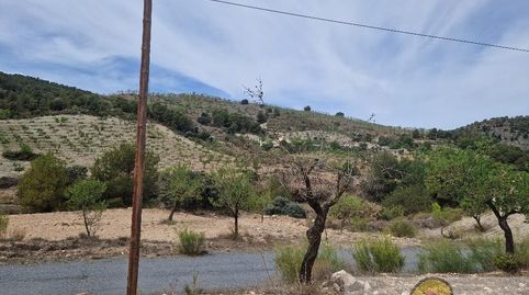 OriaCasa, image 5