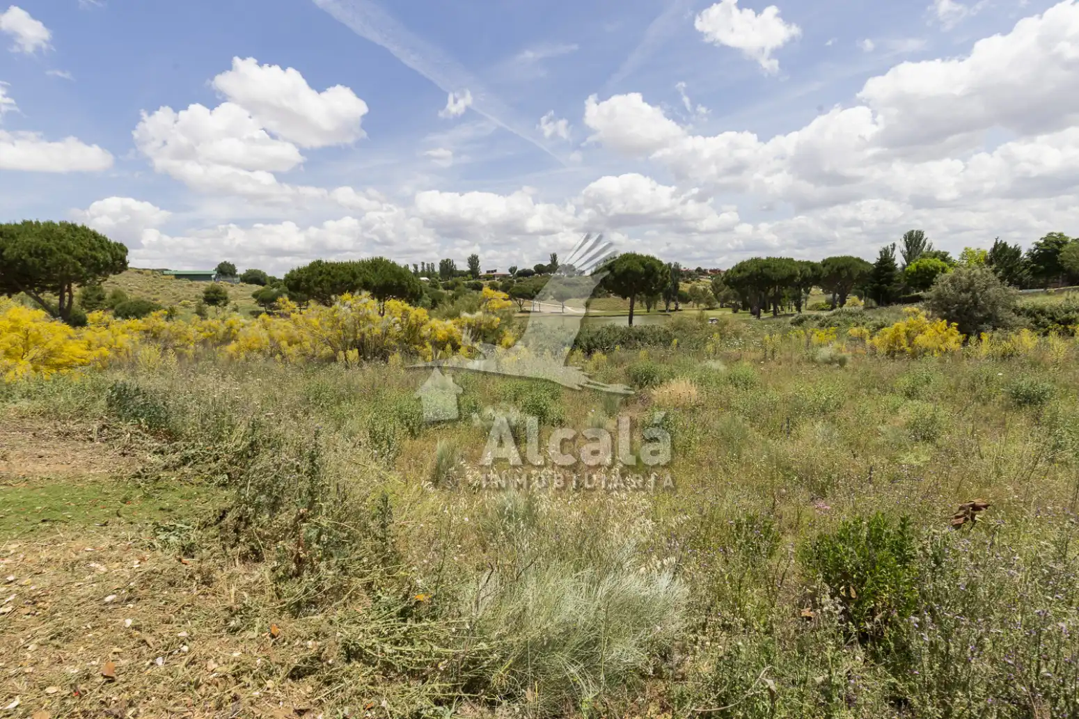 Terreny rústic en venda a Cabanillas del Campo, imagen 21