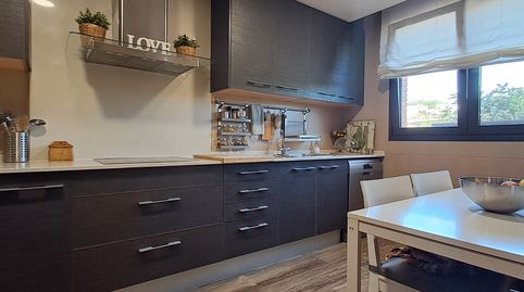 Photo 5 of Detached homes for sale in Sant Antoni de Vilamajor, Barcelona