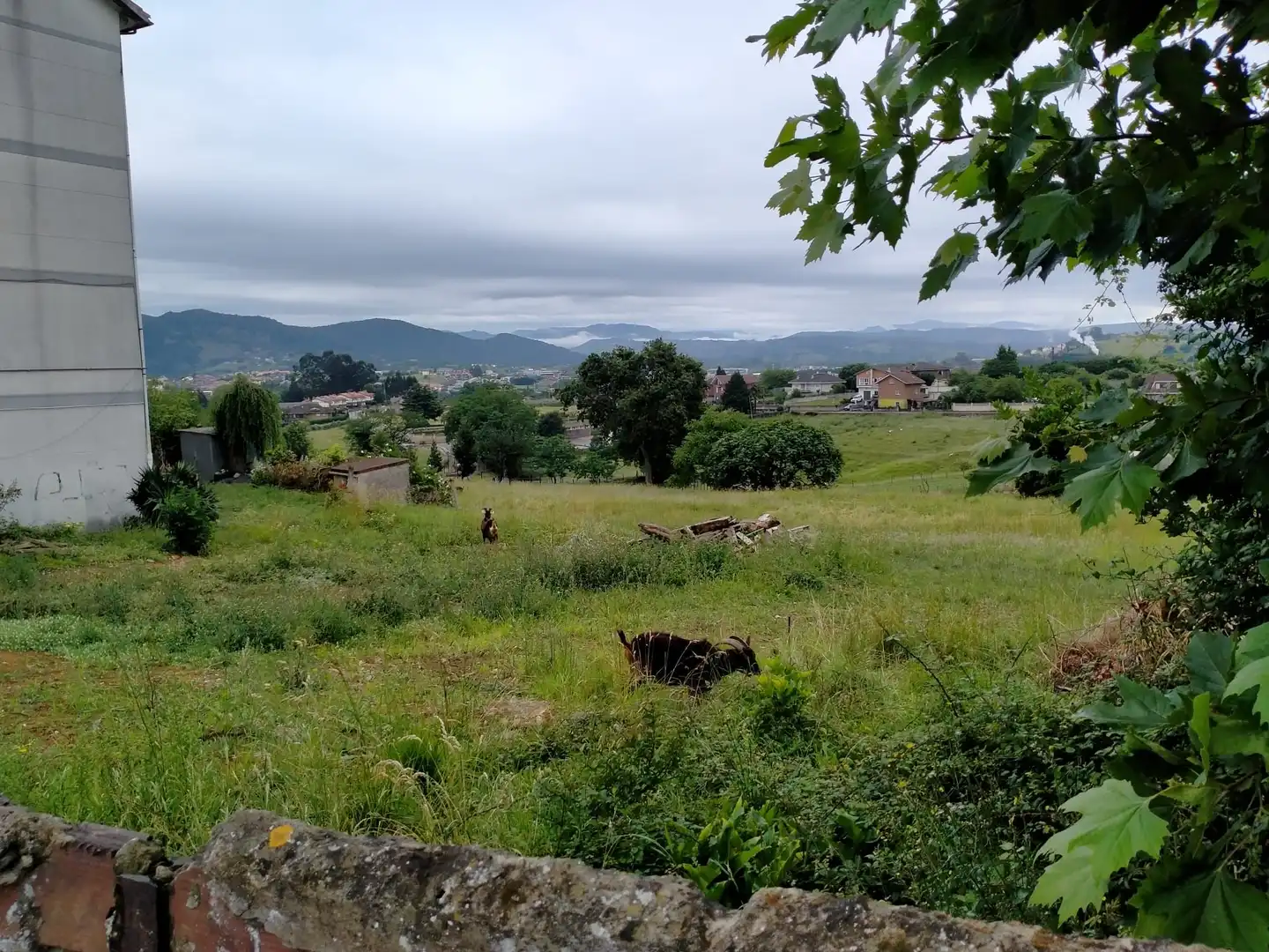 Terreno rustico in vendita a Maliaño, imagen 4
