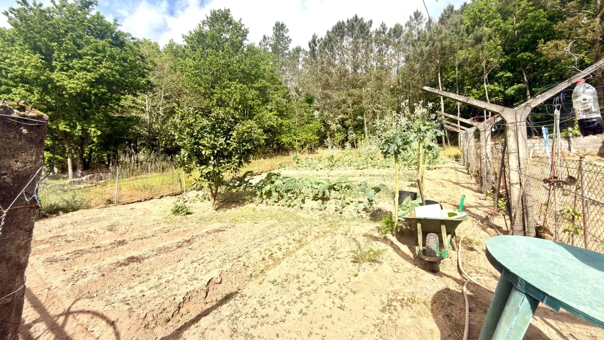 Jardín de Casa o chalet en venta en Cortegada con Jardín privado, Terraza y Trastero