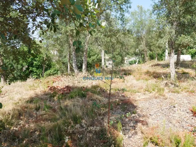 Residential land for sale in Montbarbat, imagen 9