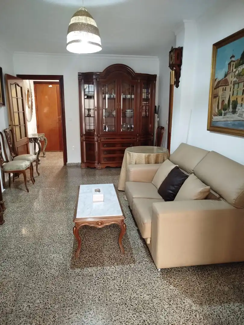 Sala d'estar de Pis de lloguer en Ronda